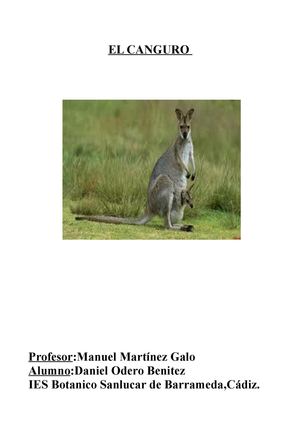 El canguro (Daniel Odero Benítez)