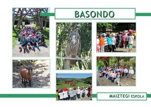 Basondo