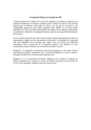 Artículo transitorio 55