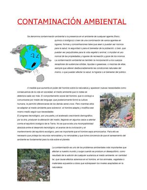 contaminación ambiental