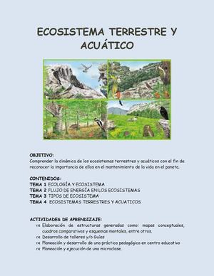 DINÁMICA DE LOS ECOSISTEMASS
