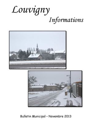 Bulletin novembre 2013