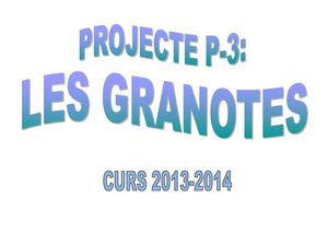 Projecte Granota - P3