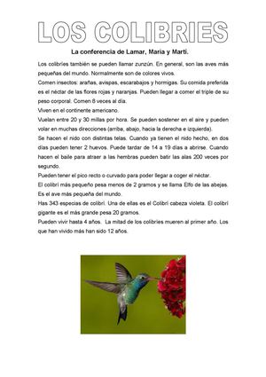 Los colibríes