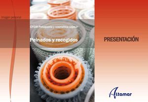 UD6Peinados-recogidos