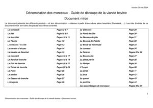 Guide de decoupe miroir-Boeuf