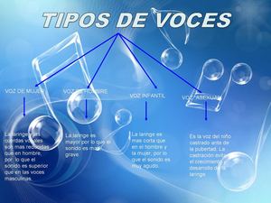 TIPOS DE VOCES