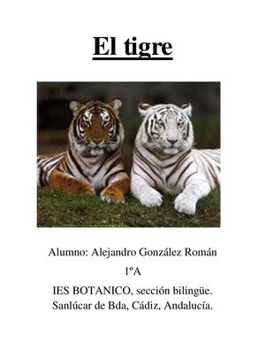 El tigre (Alejandro González Román)