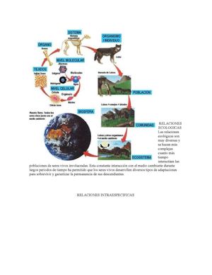 RELACIONES ECOLÓGICAS 