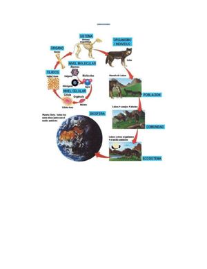 RELACIONES ECOLÓGICAS 