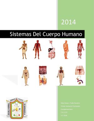 sistemas del cuerpo humano