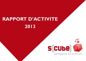 Rapport d'activité 2013