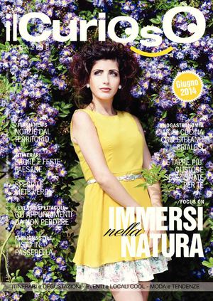 ilCurioso Magazine - Giugno 2014