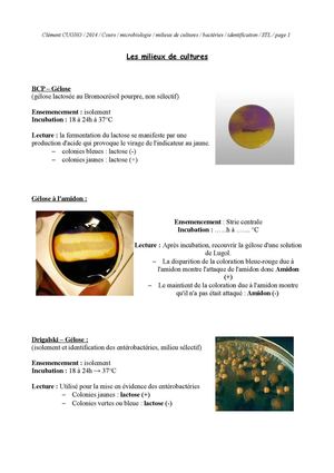 Microbiologie - Les milieux de cultures