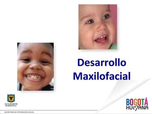 LACTANCIA MATERNA Y DESARROLLO MAXILO FACIAL