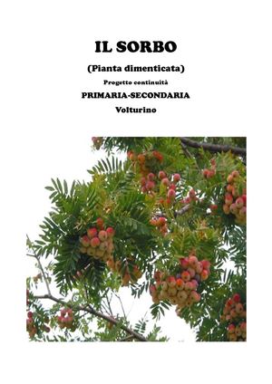 IL SORBO ...PIANTA DIMENTICATA