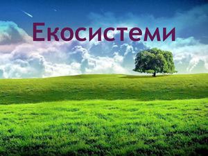 презентація екосистеми