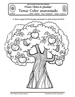 REFORZANDO EL COLOR ANARANJADO