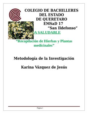Metodología-Plantas Medicinales