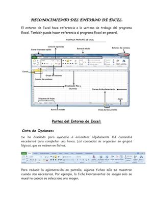 RECONOCIMIENTO DEL ENTORNO EXCEL