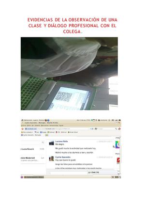 Evidencias diálogo profesional con un colega.