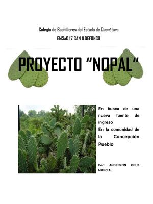 proyecto nopal