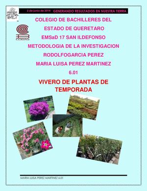 vivero de plantas de temporada