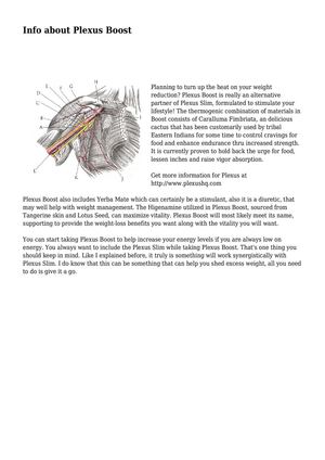 Info about Plexus Boost