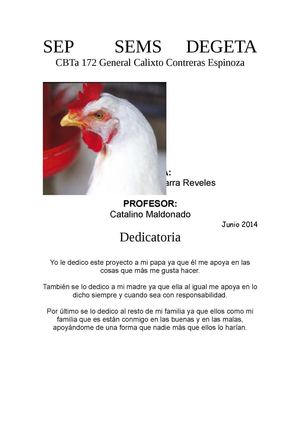 proyecto de pollos engorda