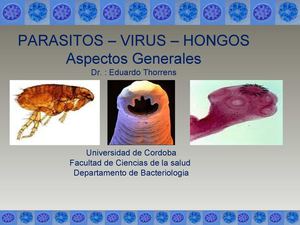 Parasitos virus y hongos