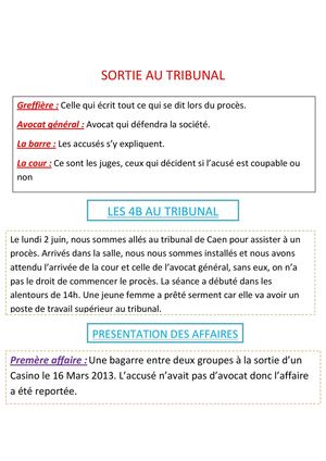 Compte rendu d'une viste au tribunal (Sarah D. 4ème B)