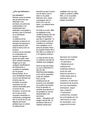 Por qué defender a los animales