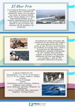 El Mar Frío