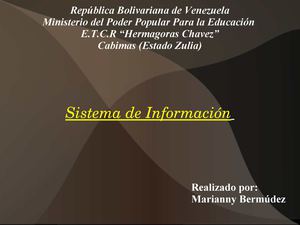 Sistema De Informacion