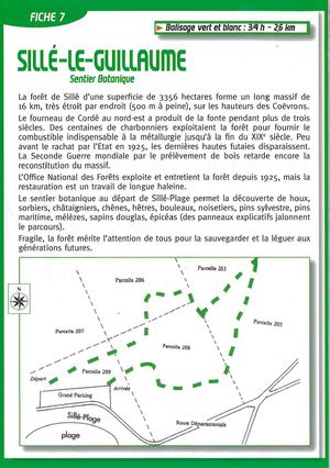 Randonnée pédestre Sillé - Mont St Jean