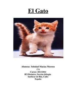El gato (Soledad Macías)