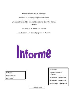INFORME I