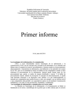 primer informe  segundo seccion 19 