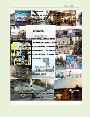 trabajofinalgrupo401117_6.pdf