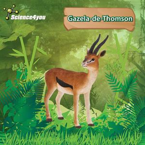 E-Book Gazela-de-Thomson