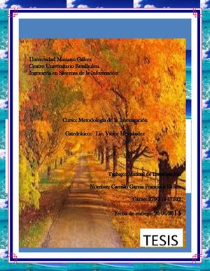 Manual de Investigacion UMG 