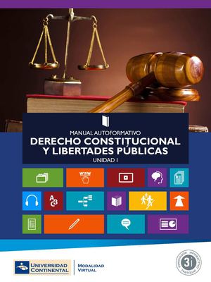 MAI- Derecho Constitucional y LP 1d4