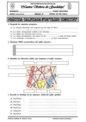 GUÍA  DE  TEJIDO  CONECTIVO