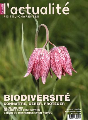 N°85 — juillet, août, septembre 2009