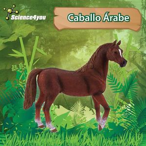 E-book Caballo Árabe