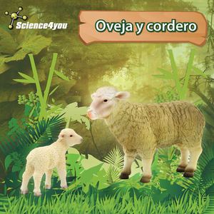E-book Oveja y Cordero
