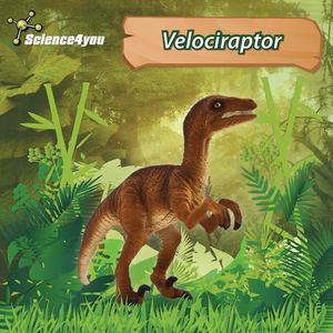 E-book Velociraptor