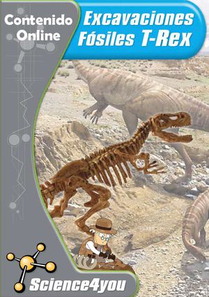 Contenido Online Excavaciones - T-Rex