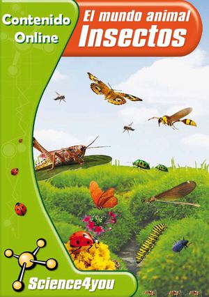 Contenido Online El Mundo Animal - Insectos
