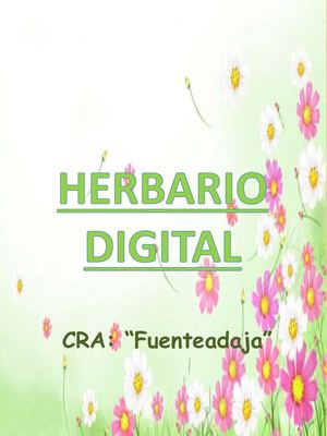 herbario 2º primaria